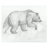 Monte Dolack Grizzly Bear Study