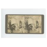 Death Valley California Stereoview Card