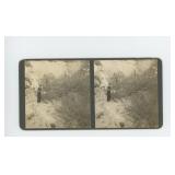 1909 Death Valley California Stereoview Card