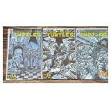 TMNT Teenage Mutant Ninja Turtle Comic Books