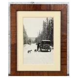 Framed Photo Of Yellowstone Park Bears