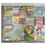 TMNT Teenage Mutant Ninja Turtle Comic Books