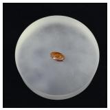 Dominican Amber Cabochon