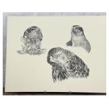 Robert Katona Falcon Print