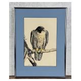 Ron Jenkins Falcon Watercolor Painting