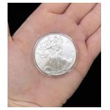 2010 Silver Eagle