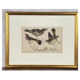 Oliver Goldsmith Gnat Catchers Lithograph