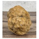 Unopened Quartz Geode