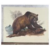 Dorman Grizzly Bear Print University of Montana