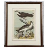 1878 Theodore Jasper The Fish Hawk Lithograph