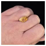 Montana Bull Elk Tooth