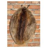 Montana Taxidermy Beaver Hide Pelt