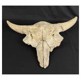 Montana River Found Ancient Buffalo Skull