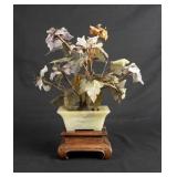 Chinese Jade Bonsai Tree