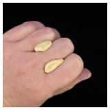 Montana Bull Elk Teeth