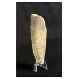 Ancient Native American Indian Pot Section