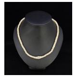 Historic Pueblo Heishi Shell Necklace