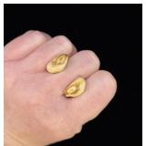 Montana Bull Elk Teeth