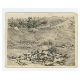 WW2 Unburied Dead Japanese Soldiers Photo