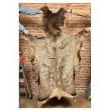 Montana Taxidermy Elk Hide