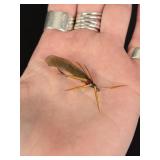 Jack Boehme Missoula Montana Fishing Fly