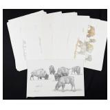 Gary Cook Painting and Prints