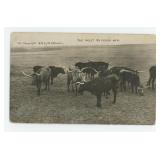 W.H. Martin The West 30 Years Ago RPPC Postcard