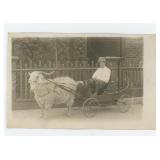 Boy with Goat Cart RPPC Real Photo Postcard