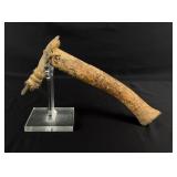 Alaskan Inuit Eskimo Oosik Walrus Penis Adze