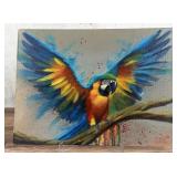 Jeshua de Los Angeles Murillo Macaw Oil Painting