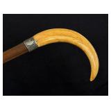 Wild Boar Tusk Cane Walking Stick