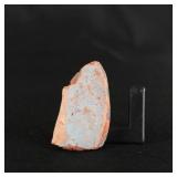 Ancient Egyptian Painted Amarna Pottery Fragment