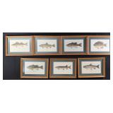 Heddon Fishing Lures Famous Freshwater Print Set