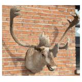 Barren Ground Caribou Taxidermy Mount