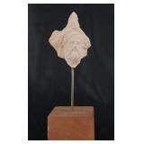 Ancient Greek Terracotta Head of Zeus Serapis