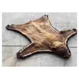 Montana Taxidermy Black Bear Rug