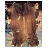 Longhorn Steer Hide