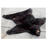 Montana Taxidermy Black Bear Rug