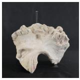 Ancient Greek Terracotta Lion Waterspout