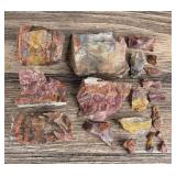 Arizona Rainbow Petrified Wood Lapidary Material