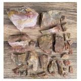 Arizona Rainbow Petrified Wood Lapidary Material