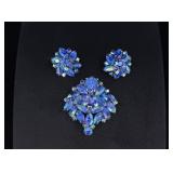 Costume Brooch and Clip On Earrings