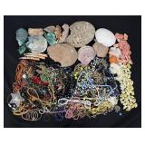 Group of Shells and Costume Jewelry