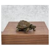 Meiji Japanese Bronze Articulated Turtle Okimono