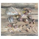 Arizona Rainbow Petrified Wood Lapidary Material