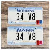 1934 V8 Montana Vanity License Plate Set