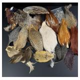 Group of Assorted Hackle Fly Tying Material