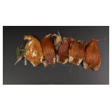 Group of Assorted Hackle Fly Tying Material