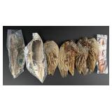 Group of Assorted Hackle Fly Tying Material