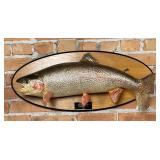 Tazimina Alaska Rainbow Trout Taxidermy Fish